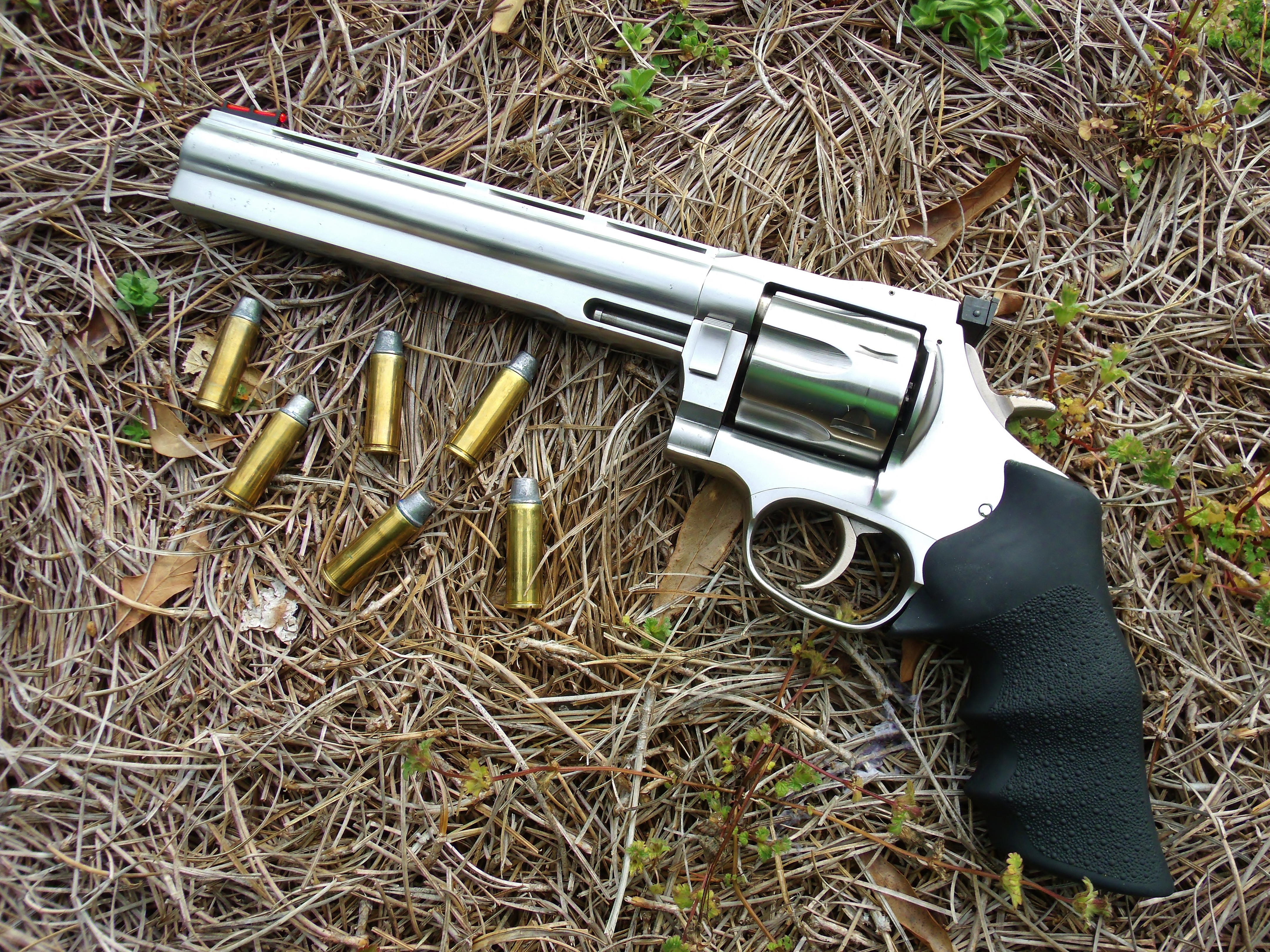 Dan-Wesson-1-004.JPG