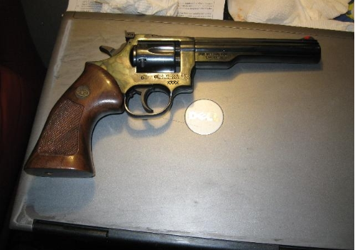 dan-wesson-22-target-revolver1-1.png