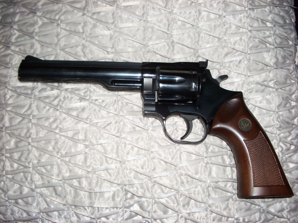 Dan-Wesson-2-031-1.JPG